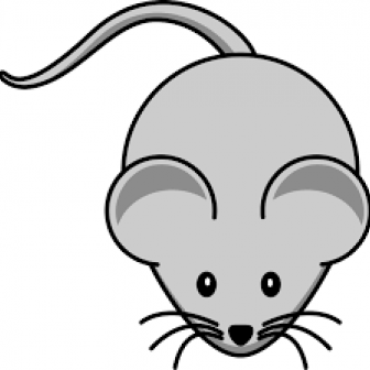 rato
