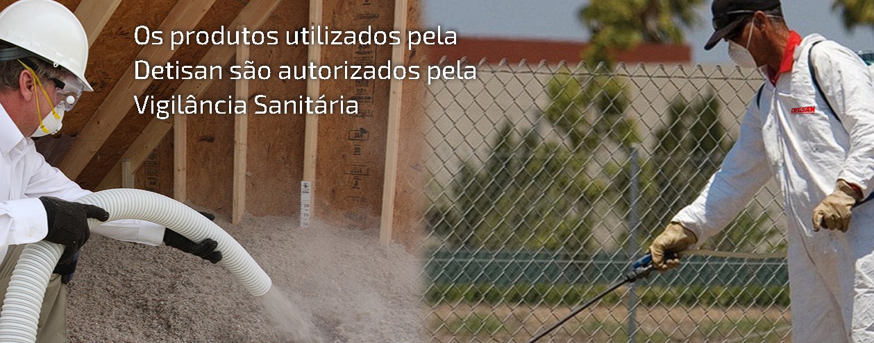 Detisan